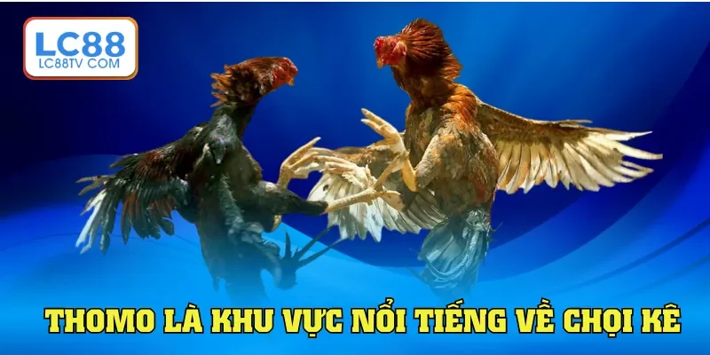 Thomo là khu vực nổi tiếng về chọi kê